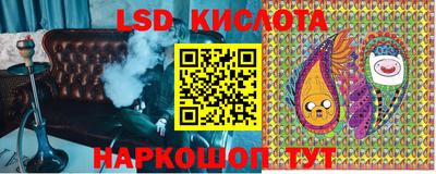 индика Шахты
