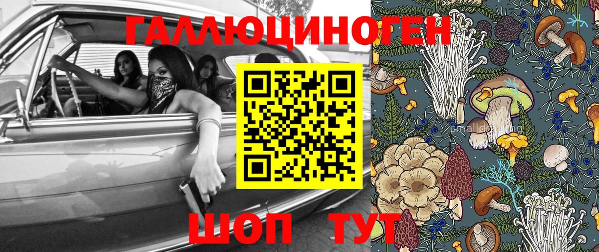Галлюциногенные грибы Magic Shrooms Алатырь